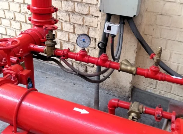 Imagen de WhatsApp 2025-11-27 a las 16.46.55_500519a8